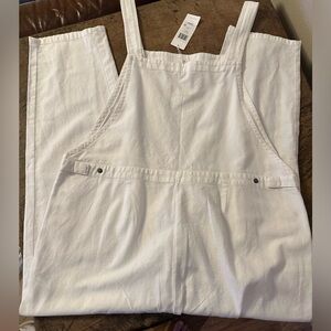 Eileen Fisher overalls